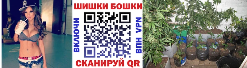 Купить закладки  Белозерск  Шишки марихуана семена 